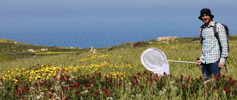 ...or something bigger